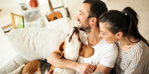 couple sitting on couch playing with dog at home