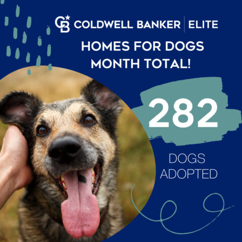 graphic of dog and text saying "homes for dogs month total! 282 Dogs adopted