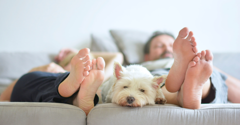 couple with feet hanging off sofa with dog between the feet