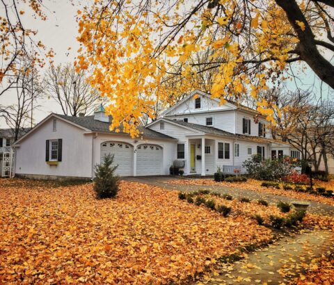 exterior of home with yard covered in bright yellow and orange fall foliage