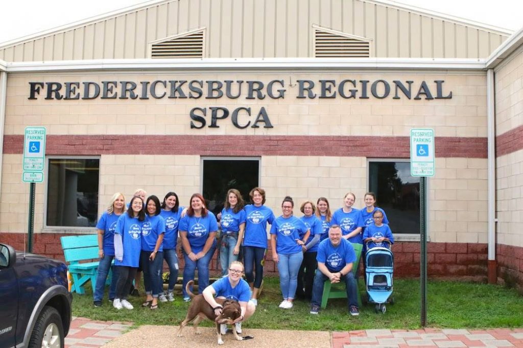 agents helping at spca