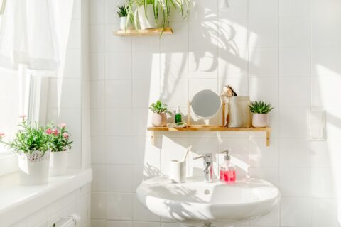 bathroom with natural light and plants