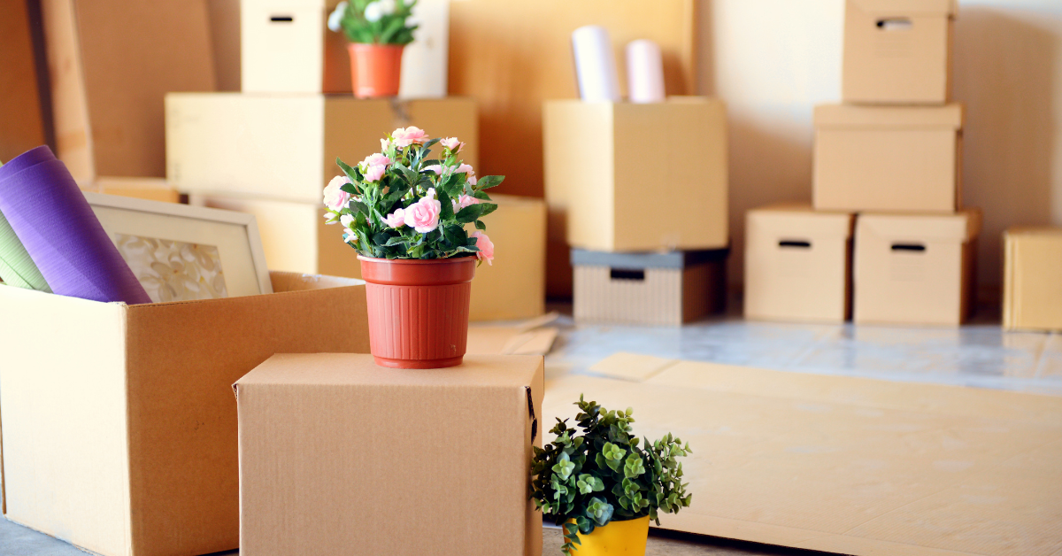 moving boxes with flowers on top