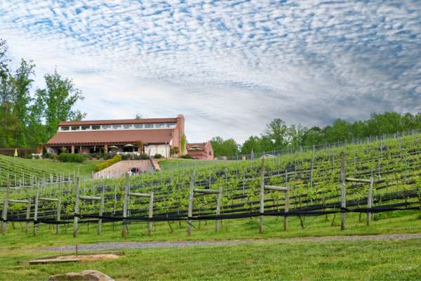 Potomac Point Winery in Stafford County, VA relocation guide cover photo