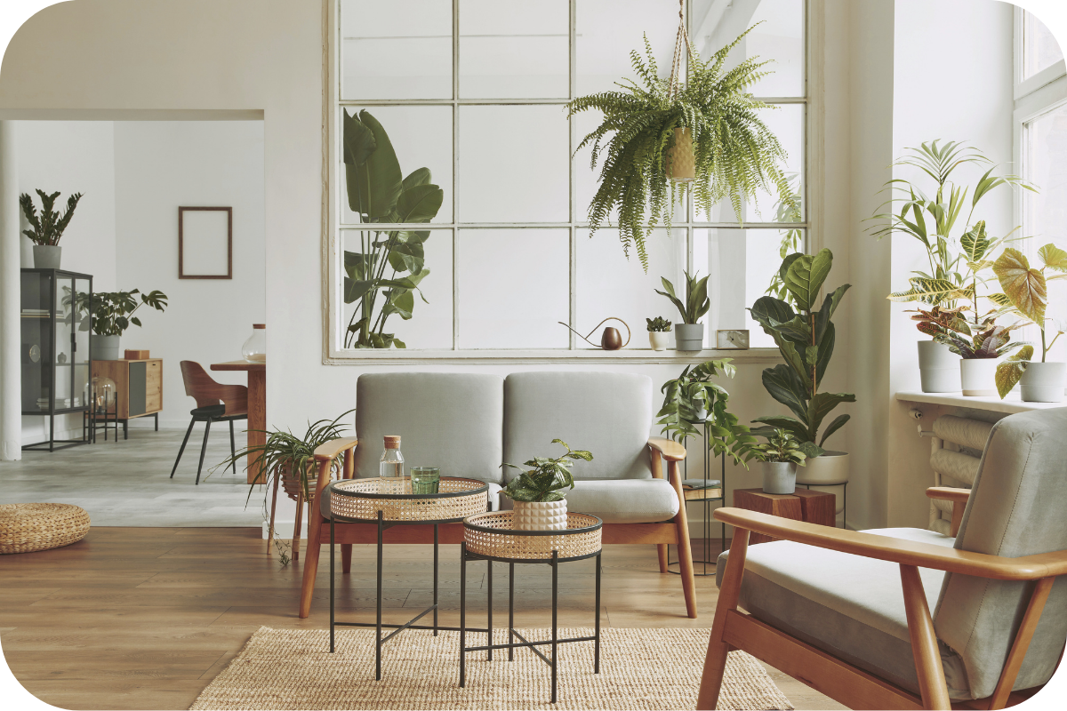 A beautifully staged, sun-drenched living room in Spotsylvania, VA, showcasing the professional results of the CBE Show Ready program.
